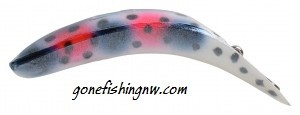 Rainbow Trout Flatfish