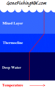 Thermocline
