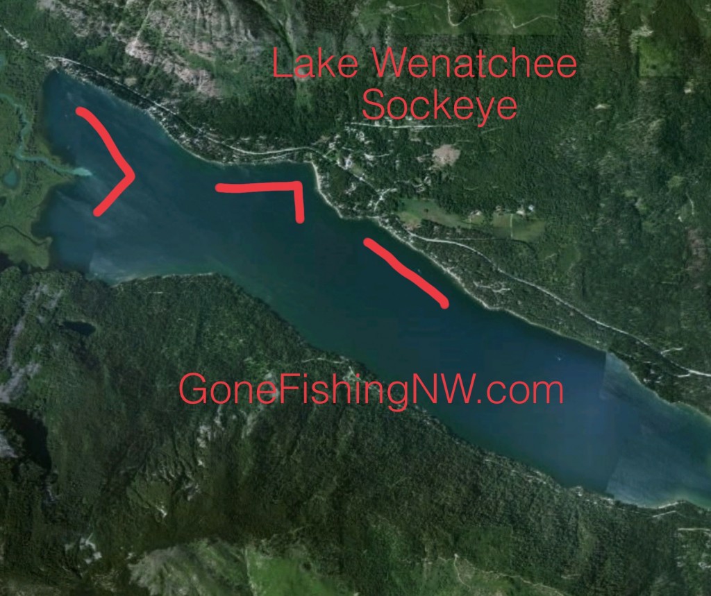 Lake Wenatchee Sockeye Map