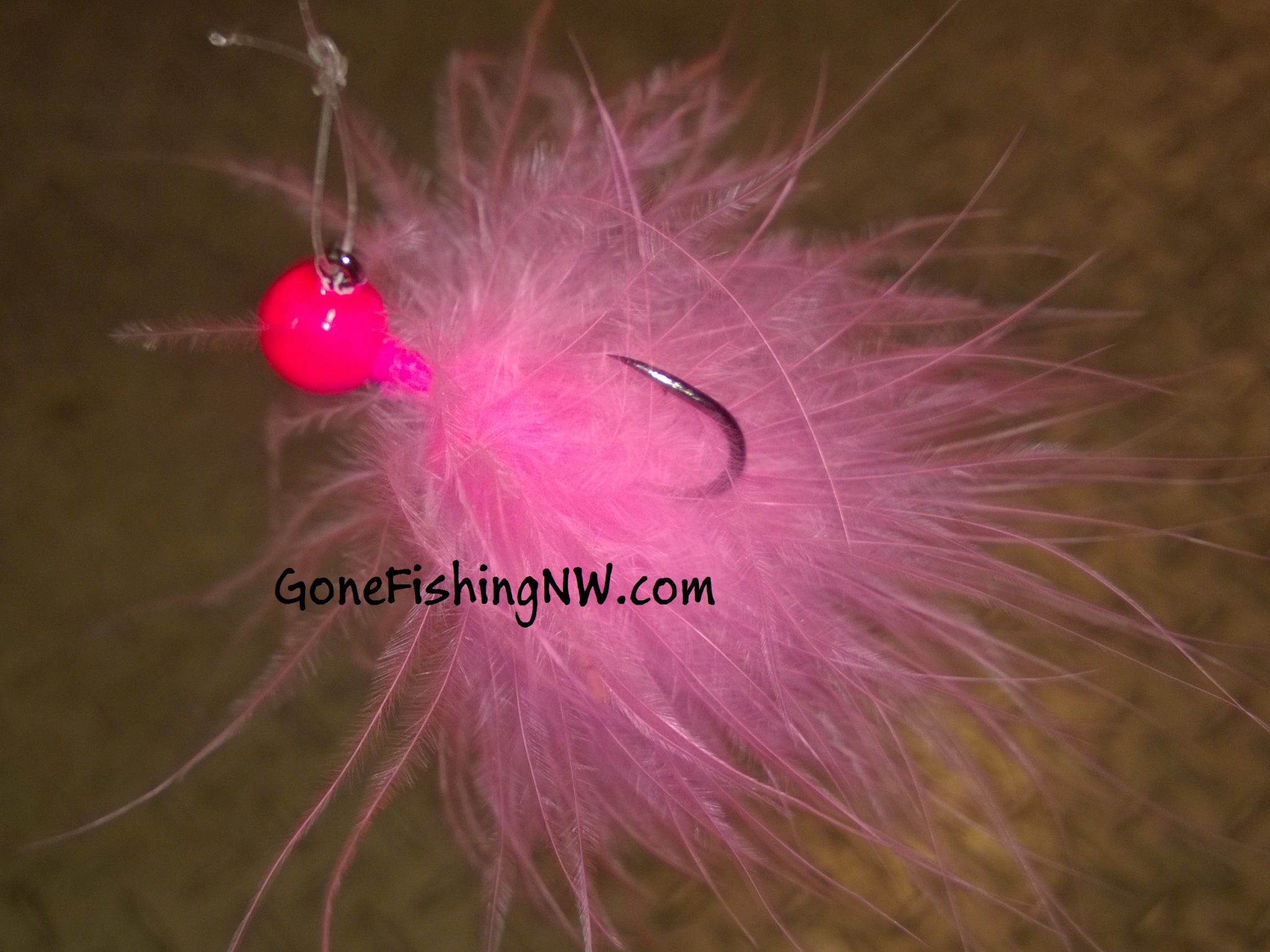 Pink Salmon Basics – Freshwater Jigging – Gone Fishing Northwest