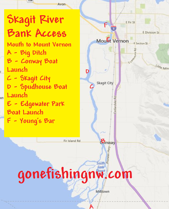 Pink Salmon Skagit River Bank Access - Mouth to Mount Vernon