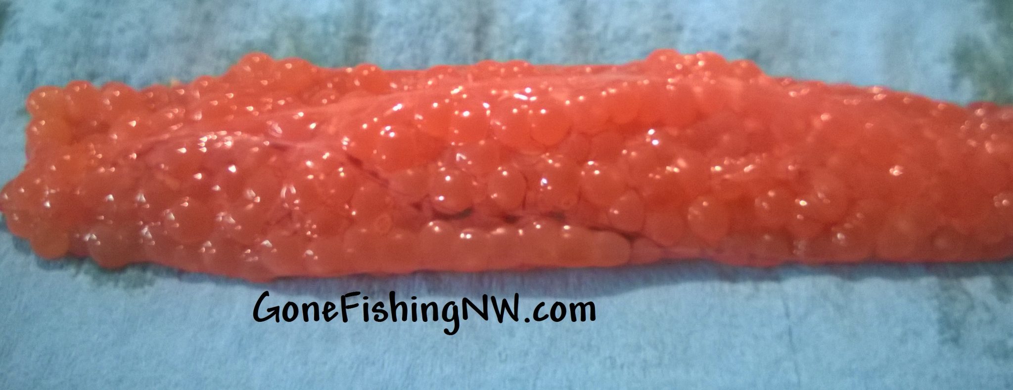 http://gonefishingnw.com/wp-content/uploads/2015/09/Simple-Curing-Roe-Part-1.jpg