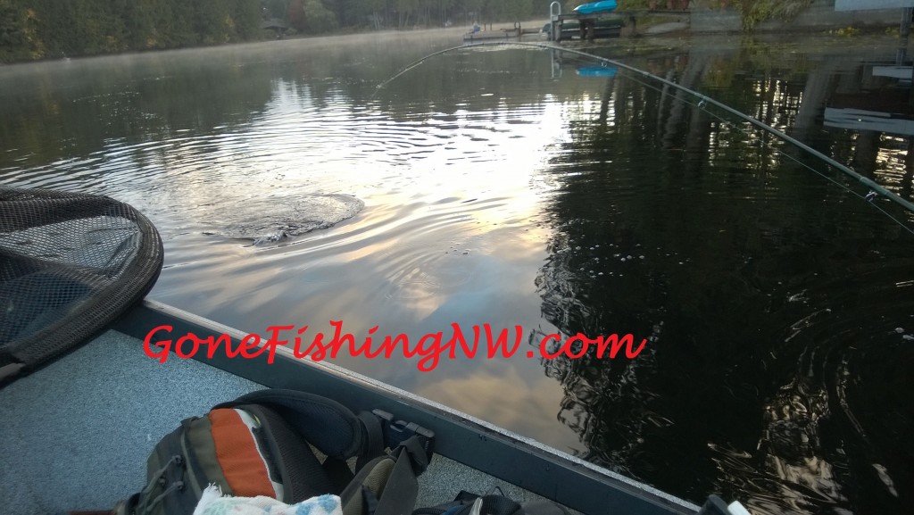 2015 Beaver Lake Fish On