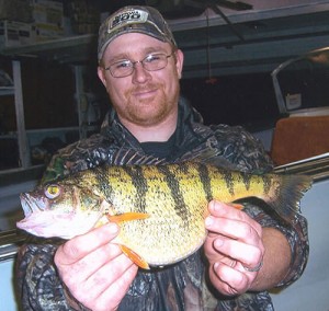 Record Yellow Perch from Pennsylvania. This is the same size as the Washington state record.
