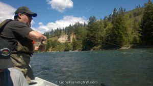 Tracy fighting a fish on the Yakima