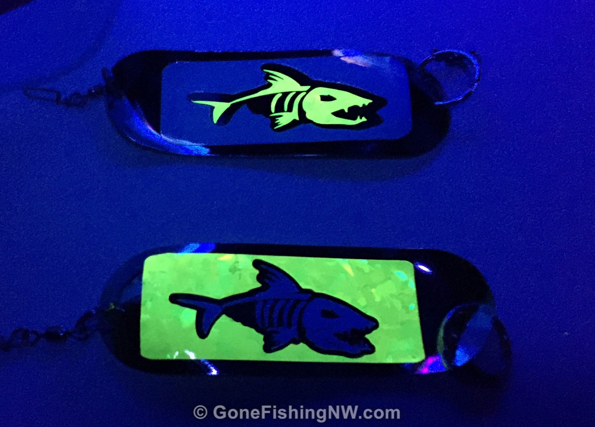 Creating a Custom Fish Skeleton Sticker Dodger – Gone Fishing Northwest