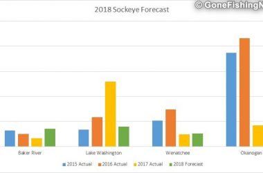 2018 Sockeye Salmon Forecast